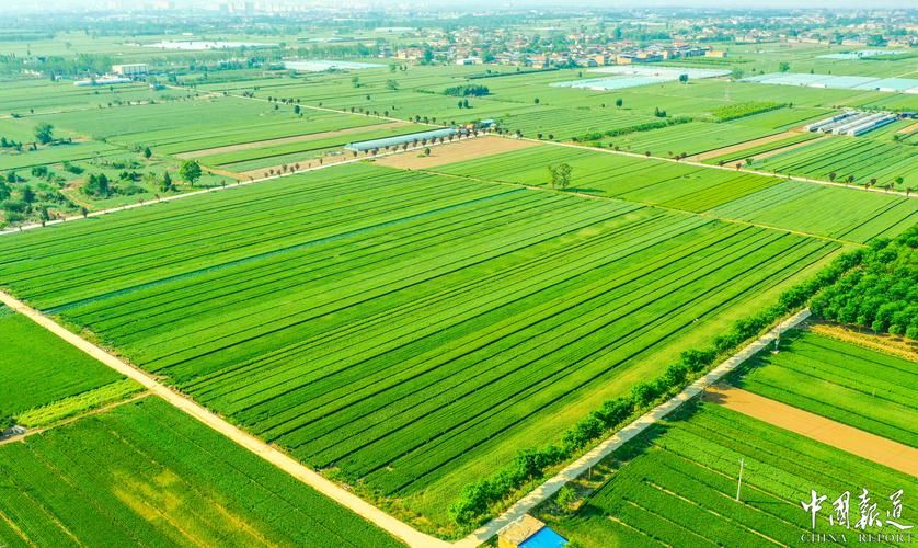 山西运城夏县今冬新增破23(运城 夏县)