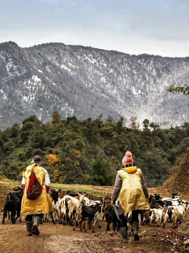 【四川省乐山市马边彝族自治县累计报告境外输入30例_乐山马边县现状】