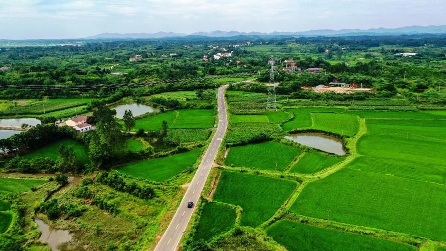 【一张图看懂湖北随州曾都区12月5日曲线图表_随州曾都新闻今天新闻】