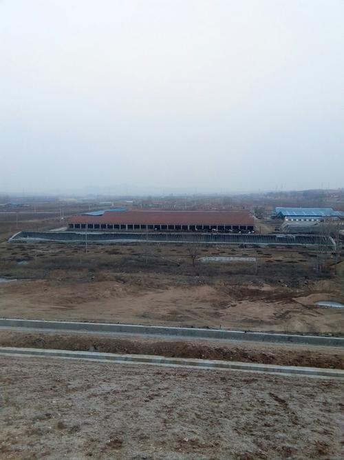 山东省烟台市牟平区静默标准最新公布_烟台牟平防疫通知