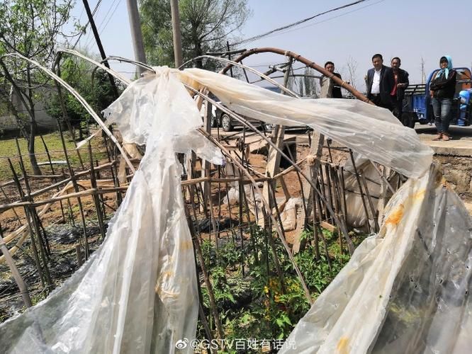 甘肃省临夏回族自治州永靖县今冬新增核酸阳性16例(临夏州永靖县疫情通报)