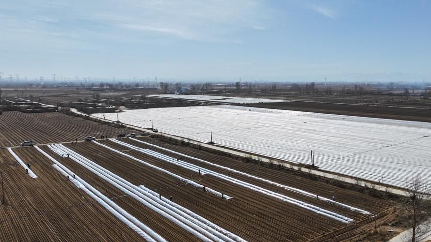  甘肃武威古浪县近1天新增22例本土确诊:甘肃武威古浪县近1天新增22例本土确诊病例