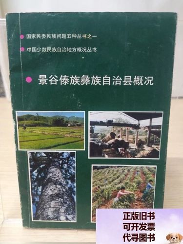 景谷傣族彝族自治县近5天新增破10/景谷概况