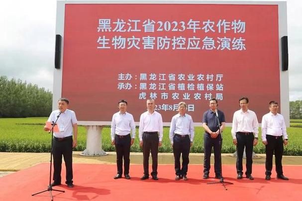 【警方通报黑龙江鸡西虎林疫情最新情况_虎林市归鸡西市管么】