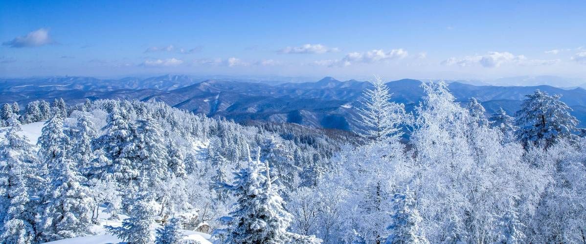 专家:吉林白山临江每年或现多个感染高峰_白山临江在哪