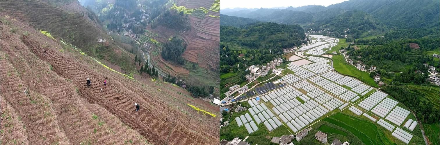 大方县新增核酸阳性24例，均在湄潭县/大方县疫情通报
