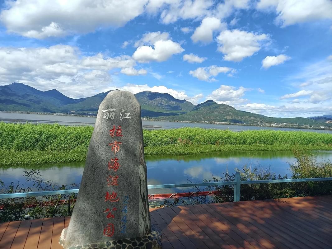 玉龙纳西族自治县近期新增20例涉1省输入病例_玉龙纳西族自治县人民政府