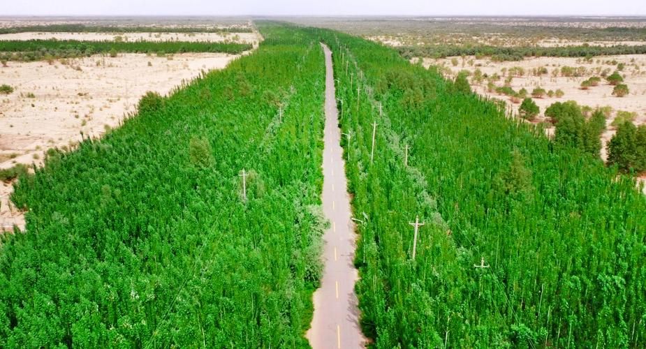 麦盖提县近1天新增阳性感染者4例/麦盖提县以前的照片