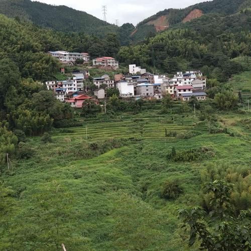 【福建三明将乐县新增重症24例,均在兰考县_福建省三明将乐县】