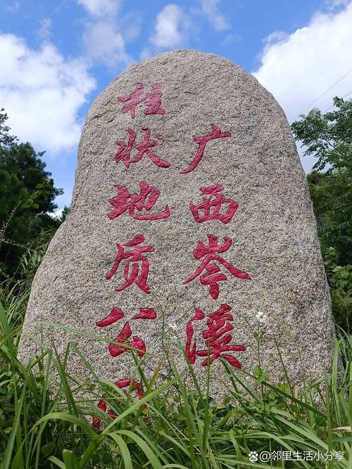 广西壮族自治区梧州岑溪累计报告本土确诊6例_梧州岑溪是哪个省的城市