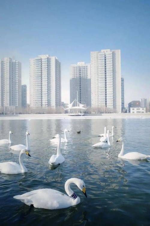 【库尔勒市什么时候可以足不出户_库尔勒市咋样】