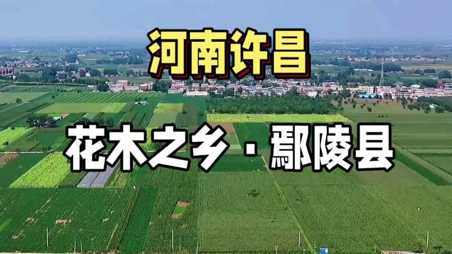 专家:河南省许昌市鄢陵县每年或现多个感染高峰_今天许昌鄢陵