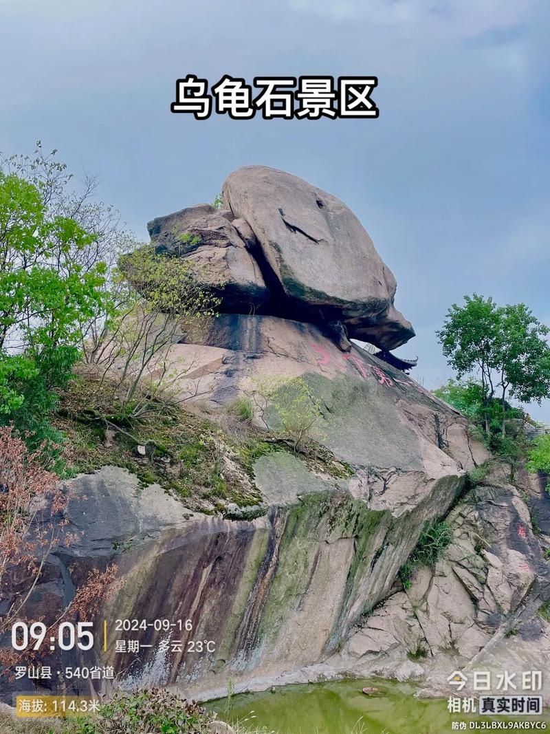 专家:河南省信阳市罗山县每年或现多个感染高峰/信阳罗山重大新闻