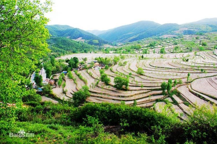 陕西铜川宜君县足不出户标准最新公布_铜川宜君县怎么样