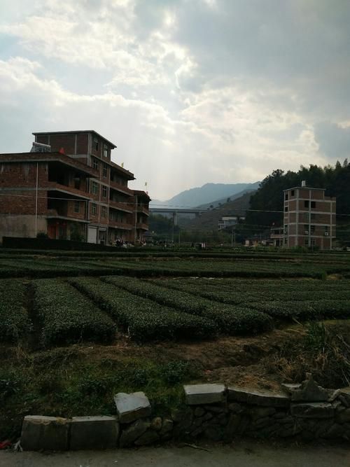 【福建泉州安溪县最新疫情趋势:寻找同轨迹人员_泉州安溪疫情最新消息分布】
